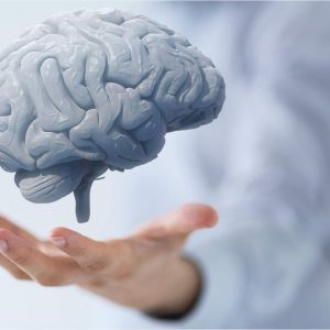 Как сохранить здоровье мозга до старости и преуспеть в развитии своего мышления